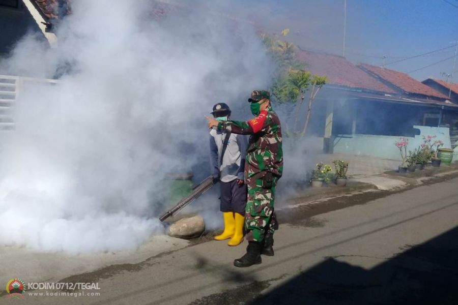 Cegah DBD, Babinsa Dinuk Bantu Berantas Sarang Nyamuk