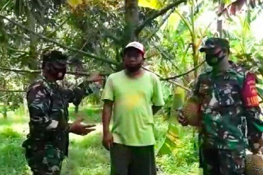 Sentra Durian Unggulan Pangkah Dalam Perekonomian Masyarakat