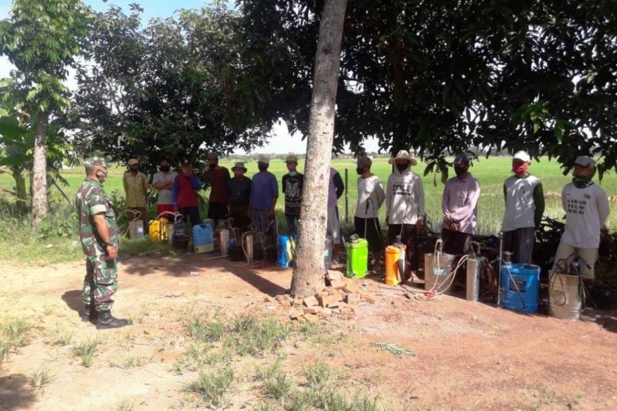 Babinsa Bantu Petani Kendalikan Hama Tanaman