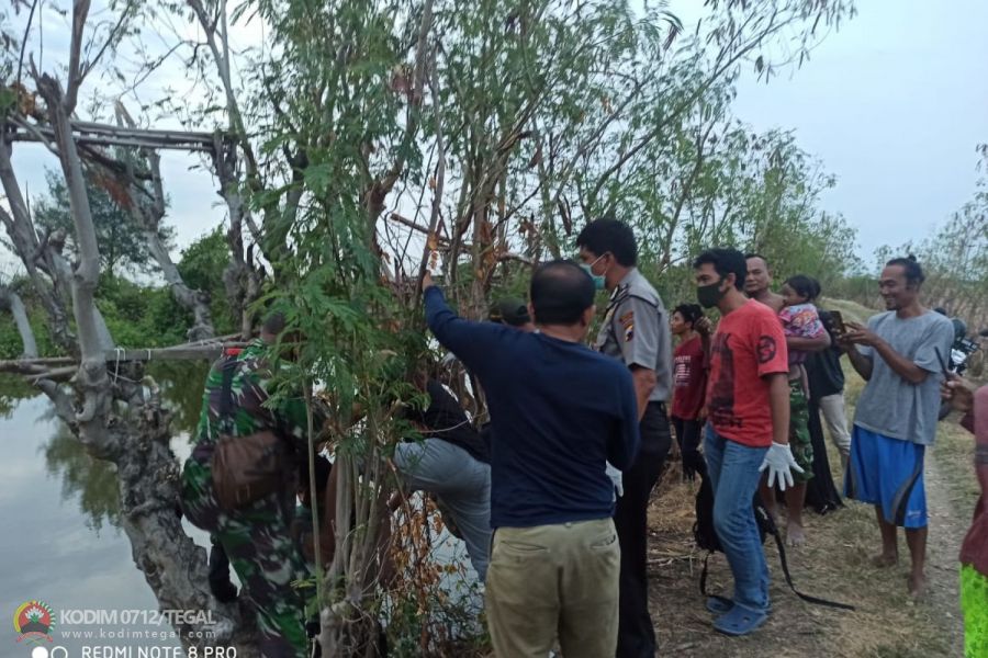 Sesosok Mayat Tergantung di Bantaran Sungai Kaligangsa