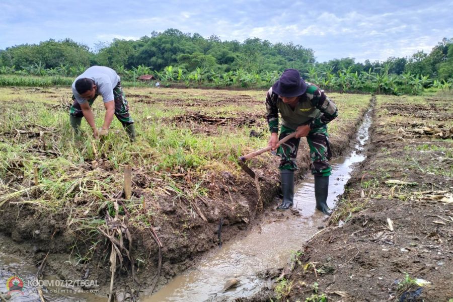 Anggota Kodim 0712 Tegal Siapkan Perarian Untuk Tanaman Jagung