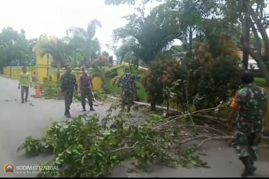 Antisipasi Bencana Alam, Babinsa Koramil 01/Tegal Barat Ajak Warga Gotong Royong Tebang Pohon