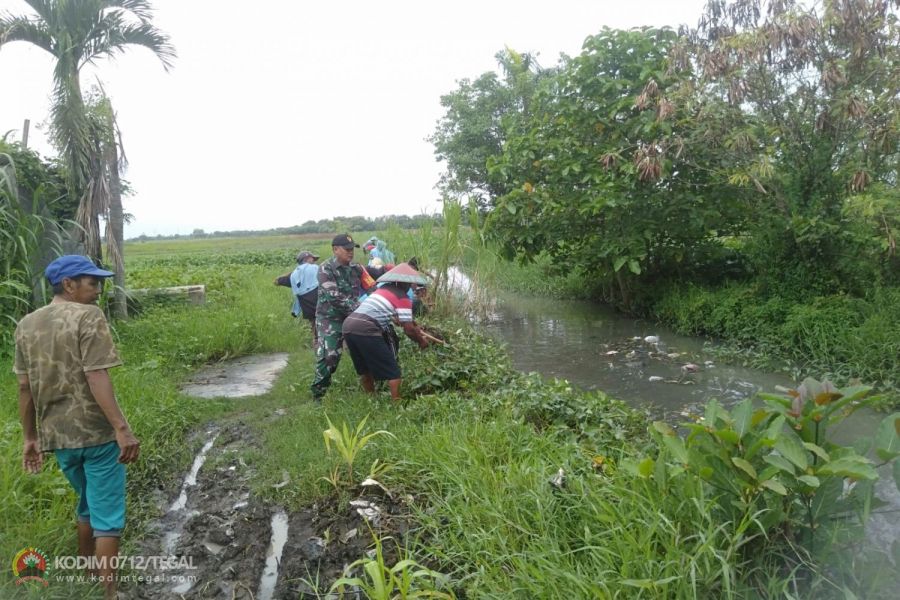 Cegah Banjir, Babinsa Koramil Dukuhturi Bersama Warga Gotong Royong Bersihkan Enceng Gondok