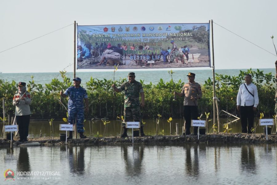 Dandim Tegal Ikuti Penanaman Mangrove Nasional Serentak Oleh Presiden