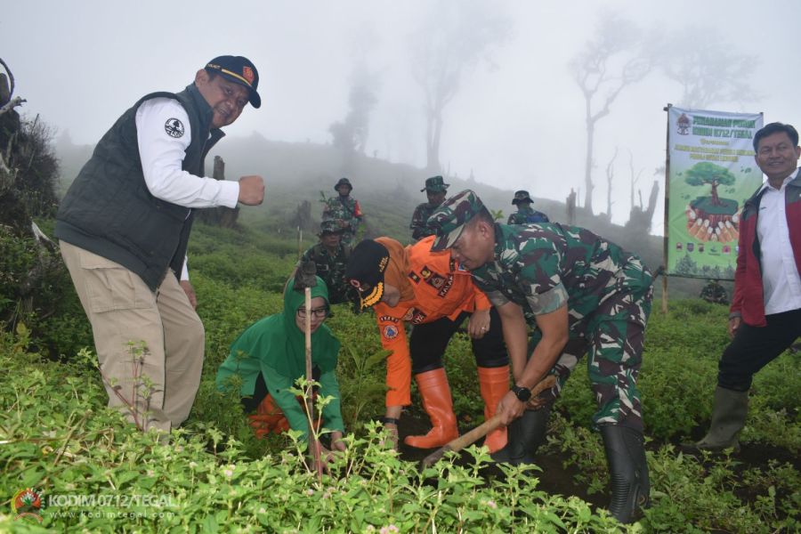 Peduli Lingkungan, Kodim 0712 Tegal Ikut Andil Dalam Gerakan Penghijauan Di Lereng Gunung Slamet