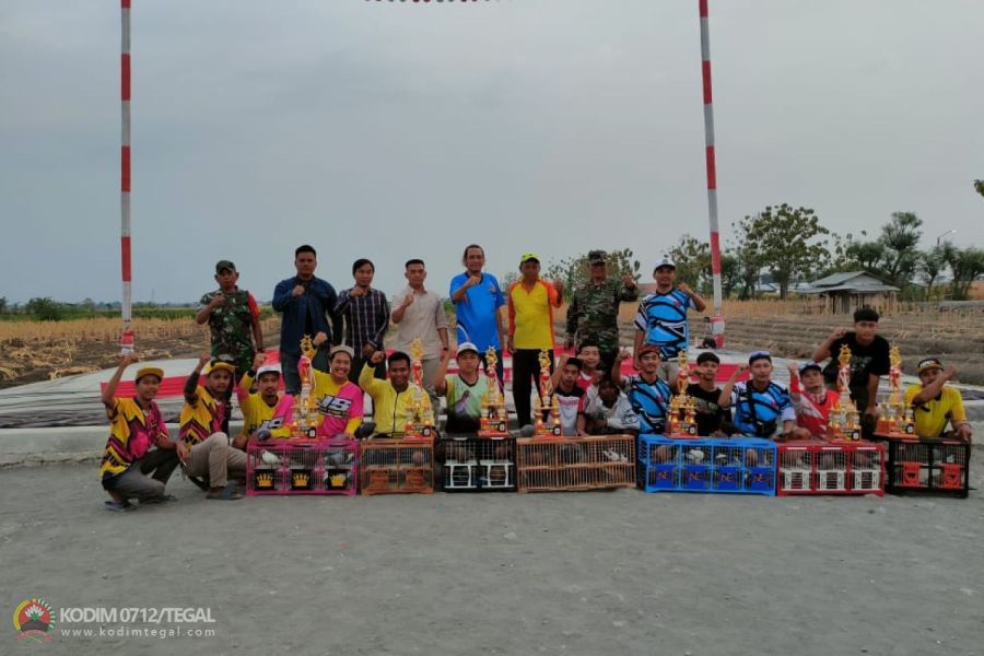 Lomba Merpati Kolong Dandim Tegal Cup Di Lapak Merpati Padel Desa Getaskerep