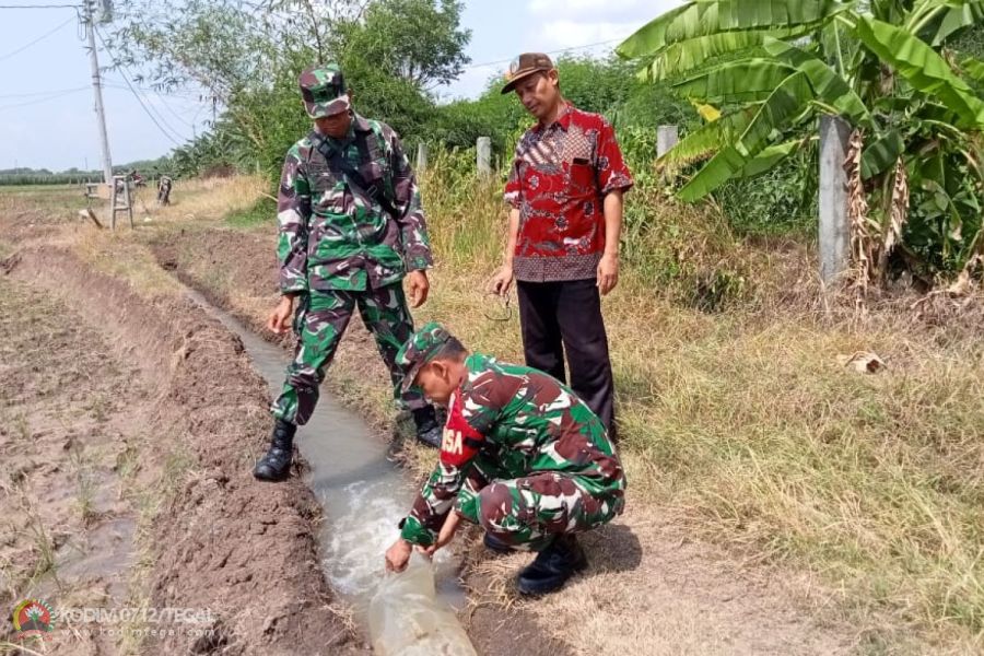 Pastikan Berfungsi Dengan Baik, Babinsa Koramil Tarub Cek Sistem Pompanisasi Pertanian