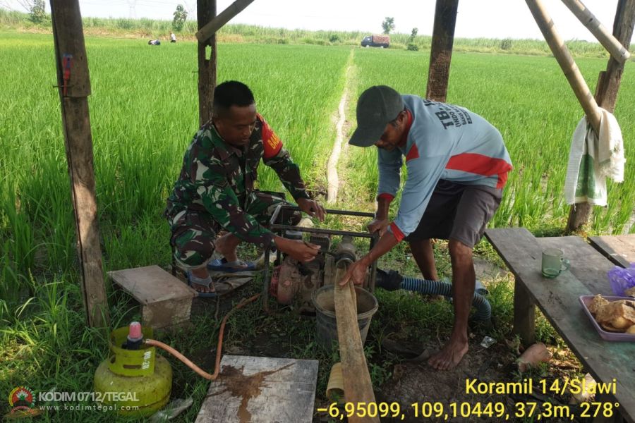 Dukung Program Ketahanan Pangan, Babinsa Koramil 14 Slawi Kodim Tegal Dampingi Pompanisasi