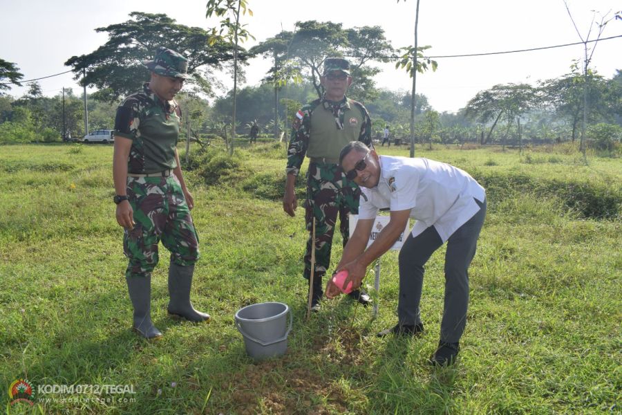 Kodim 0712 Tegal Tanam Bibit Sukun Bantuan Dari Persatuan Purnawirawan Angkatan Darat (PPAD)