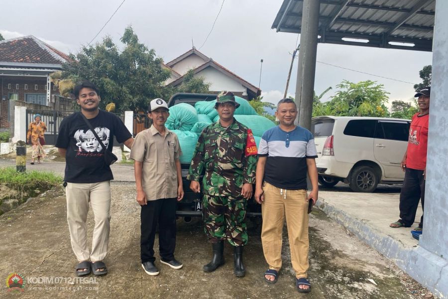 Babinsa Koramil Balapulang Dampingi Bulog Serap Gabah Milik Petani