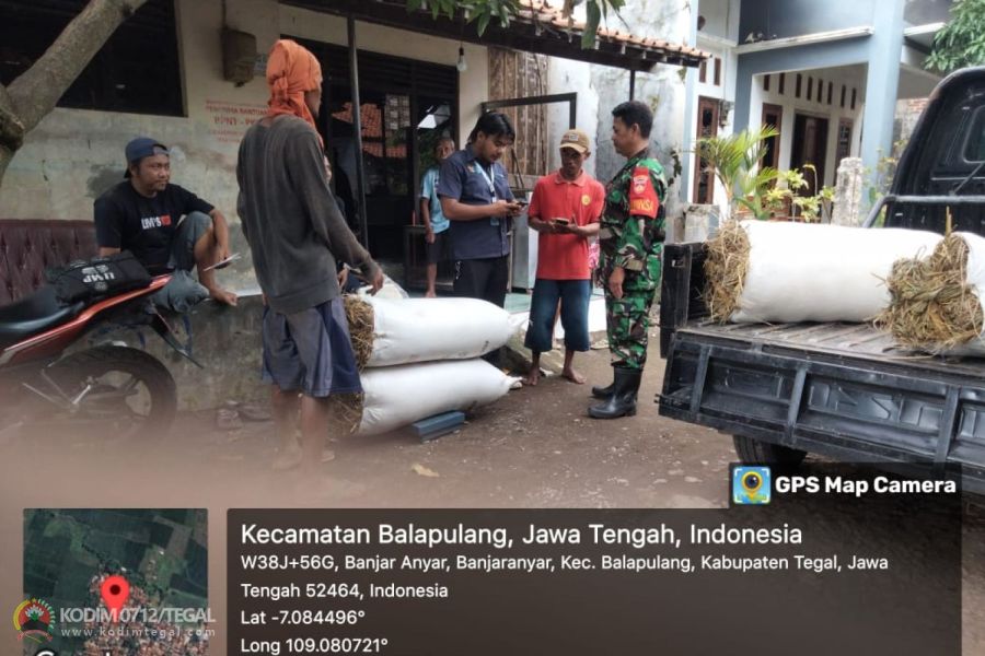 Sertu Krisbiantoro Dampingi Serap Gabah Petani